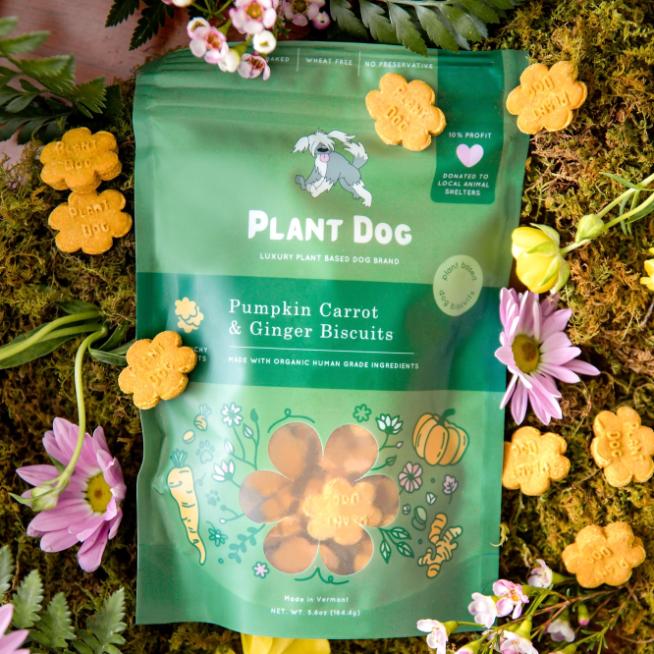 Pumpkin and Carrot Ginger Dog Biscuits - Anti-Inflammatory