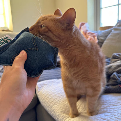 Denim Pocket Catnip Toy