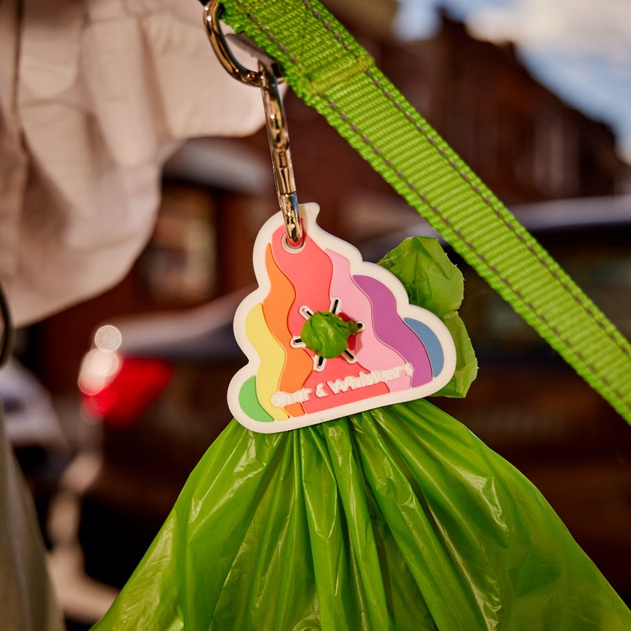 Rainbow Poo Poop Loop – Char and Whiskers