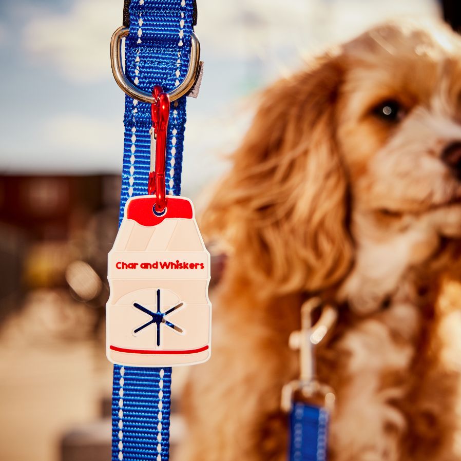 Yakult Poop Loop – Char and Whiskers