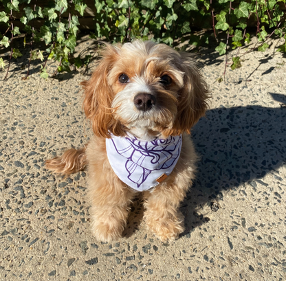 Porcelain Rose Pet Bandana
