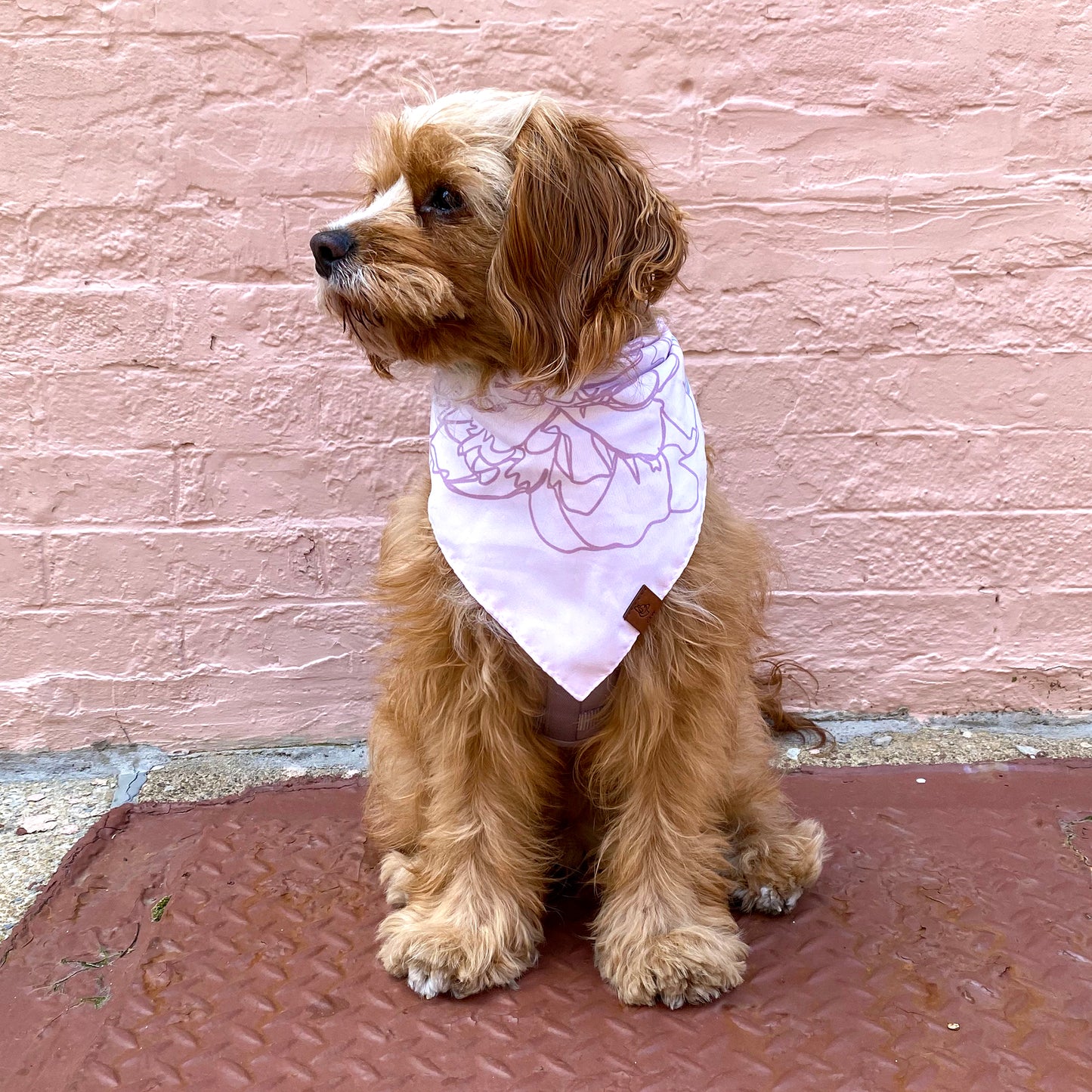 Peony Pet Bandana